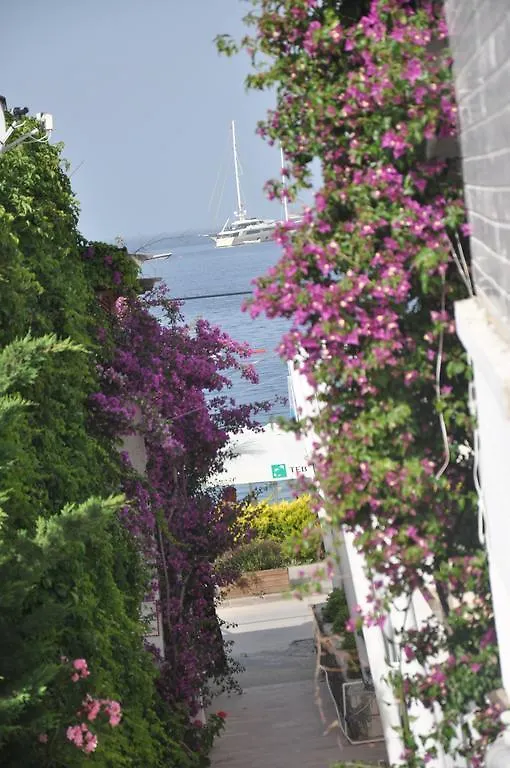 ** Hotel Costa Blu Bodrum Golturkbuku Turkey